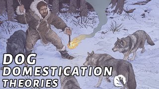 4 Dog Domestication Theories [upl. by Ettenaj339]