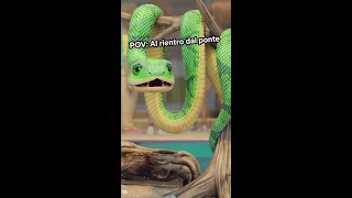 GLI ANIMALI DOPO LE VACANZE 😂 LEO 🦎 Netflix DOPOSCUOLA [upl. by Koloski]