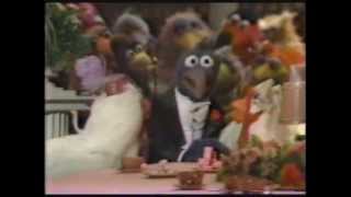 The Muppets  A Celebration of 30 Years TV Special [upl. by Obocaj]