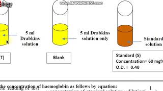 Haematology Hb Drabkin method Lec2 Part 3 [upl. by Nagram701]