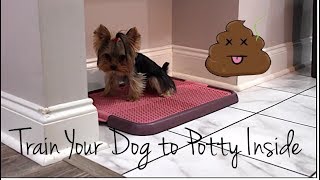 Potty Training Your Dog 101  Indoor Potty Training  Part Two [upl. by Aridatha]