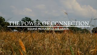 The Power of Connection Equine Therapy at The Arbor Behavioral Healthcare [upl. by Janyte]