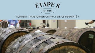 L’élevage  Les étapes clefs de la fermentation en fon [upl. by Server302]