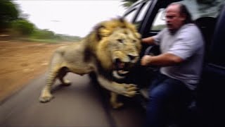 30 Safari Trips Gone Horribly Wrong [upl. by Lonee]