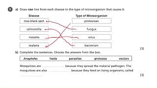 Pathogens and Disease  AQA GCSE Biology [upl. by Esiocnarf]