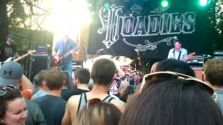 TOADIES  TYLER  Saranac Brewery 2015 [upl. by Bow268]