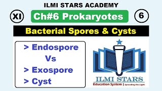 Bacterial Spores  Endospores and Expospores and Cysts Class 11 Biology Chapter 6 Prokaryotes [upl. by Lua]