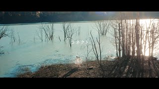 ClariS 『コネクト』 reformare Music Video 【TVアニメ「魔法少女まどか☆マギカ」オープニングテーマ】 [upl. by Kellene716]