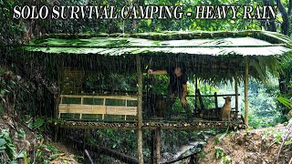 Full Video 60 Days of Survival Alone in the Rainforest Living amp Bushwalking [upl. by Eadrahc]