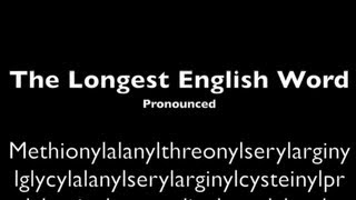 Longest English Word Pronounced [upl. by Tiloine]