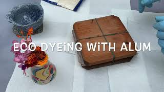 Part 4  Eco Dyeing With Alum Powder  With Leaves and Flowers [upl. by Aneda]