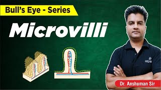 Microvilli  Epithelial  Structural Organisation in Animals Class 11  NEET Biology  ATP Star Kota [upl. by Maurits]