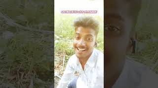 Garaiya Machhari newtrending song shortvideo garaiyamachari bhojpuri song newsong 2024 [upl. by Leddy299]