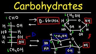 Carbohydrates  Haworth amp Fischer Projections With Chair Conformations [upl. by Aicitel564]