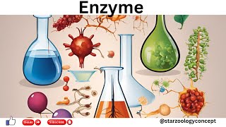 enzymes  biochemistry  pgentrance  allcompetitiveexams  shimla1891 [upl. by Ijan]