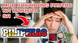 MGA KAKAIBANG PRUTAS NA MAKIKITA SA PILIPINAS  12 EXOTIC FRUITS kahalamannoypi5803 [upl. by Aramanta]