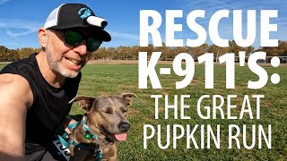 Rescue K911s Great Pumpkin Run  E518 [upl. by Atnahsal]