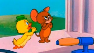 Tom and Jerry  Episode 90  Southbound Duckling 1955 [upl. by Htilil]