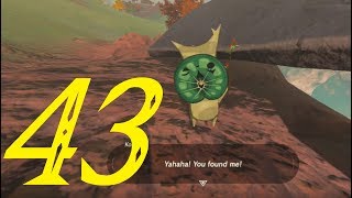 Akkala Korok Seeds Part 2  Zelda Breath of the Wild 100 Walkthrough quot43127quot No Commentary [upl. by Ahsiadal]