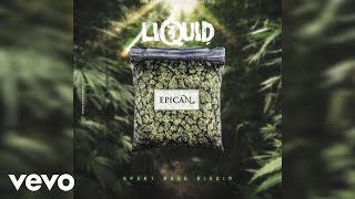 ZJ Liquid  Epican Official Audio [upl. by Rye632]