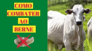 Como Acabar com Bernes em Bovino  Jeito Fácil e Barato [upl. by Leoline]