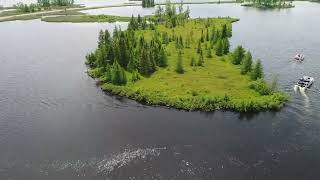 Chippewa Flowage CC Bridge Bog [upl. by Dennard]