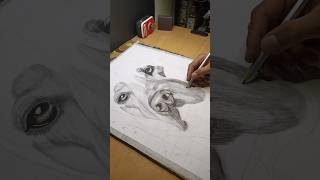 Dog sketch✍️✍️✍️subscribeartdrawing ✍️✍️✍️✍️✍️ [upl. by Chery]