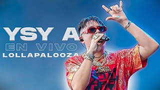 YSY A  LUGARES QUE LLEGO  NO DA MAS  En Vivo Lollapalooza 2024  4k [upl. by Blake]