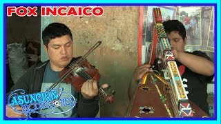 ARPA Y VIOLIN Tema FOX INCAICO [upl. by Chelsie68]