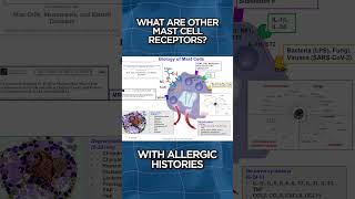 What Are Other Mast Cell Receptors [upl. by Colton]