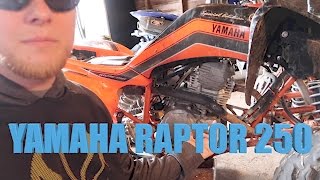 Yamaha Raptor 250 oil change [upl. by Samford]