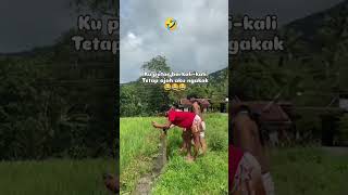 Wuaseeemmmmlfl 2024 funny hiburan comedy masukberanda lucu komedi fyp shortsvideo shorts [upl. by Ajim355]