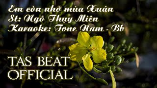 Karaoke Em còn nhớ mùa Xuân  Tone Nam  TAS BEAT [upl. by Eelrehpotsirhc]