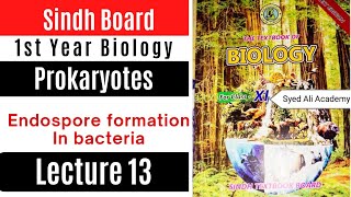 Endospore formation in bacteria  prokaryotes  class 11 1st Year biology Sindh text book board [upl. by Shuma361]