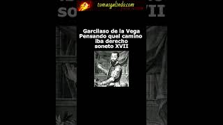 Garcilaso de la Vega  Pensando quel camino iba derecho  soneto XVII [upl. by Itagaki]