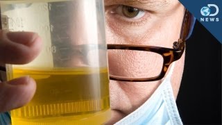 5 Unique Uses for Urine [upl. by Isied]