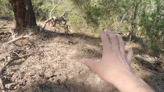 Building an MTB trail in the dust Part 1  Timelapse  Trail build [upl. by Anohsal]