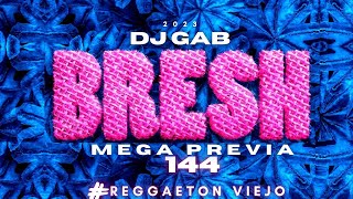 🌼 BRESH 🌺 MEGA PREVIA 144 🌼ENGANCHADO REGGAETON VIEJO  MIX CACHENGUE 🌼 DJ GAB 🌺 2023 [upl. by Petras904]