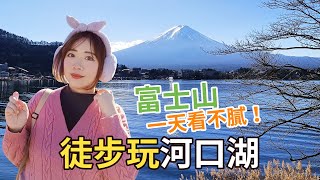 河口湖一日散策！大池公園．河口湖大橋．湖山亭うぶや前．ほうとう不動．河口湖遊覽船天晴 [upl. by Erick]