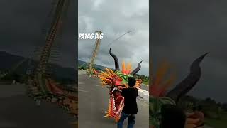 Dragon wali Patangnp DJ pickup mini subscribe to like comment youtubesubscribe jay [upl. by Iadam]