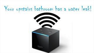 How to Setup a Water Leak Alert on Alexa Devices Using a YoLink System as an Example [upl. by Gustafsson223]