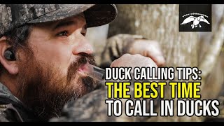 The Best Time to Call In Ducks  Duck Calling Tips [upl. by Tai333]