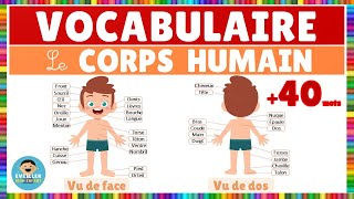 Vocabulaire  le corps humain  Français [upl. by Aleck]