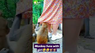 COMEDY MONKE monkey tag trending [upl. by Ilellan]