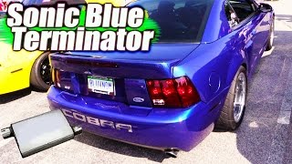 EXHAUST ▶ Sonic Blue Terminator w Xpipe and Stingers [upl. by Waldo]