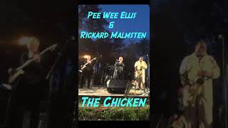 Rickard Malmsten amp Alfred quotPee Weequot Ellis jazz music livemusic [upl. by Erl191]