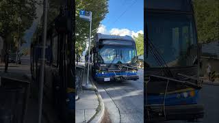 TransLink HIGH CAPACITY TRUE ELECTRIC BUS on Route 3 Main  New Flyer E60LFR Articulated TrolleyBus [upl. by Okoyk]