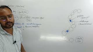 Cyanobacteria  KINGDOM MONERA  EUBACTERIA CLASS 11  CYANOBACTERIA CLASS 11 [upl. by Reiter]