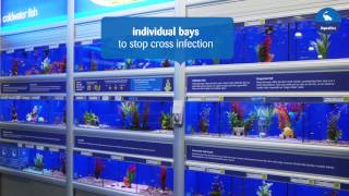 Making our pets at home  Aquatics [upl. by Nyrmac]