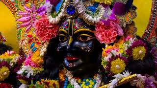 Jai Radha Madhava jay kunjo bihari very beautiful popular Krishna bhajan full song [upl. by Rakso304]